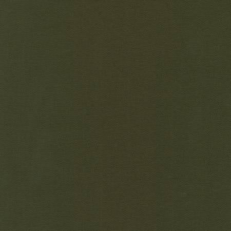 Big Sur Canvas - Forest