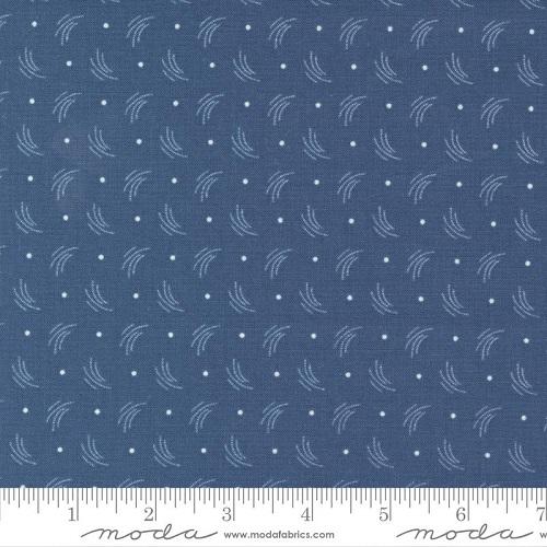 Blueberry Delight - Blueberry