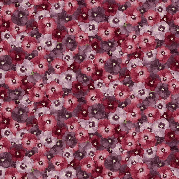 Laurel - Packed Pansy Multi