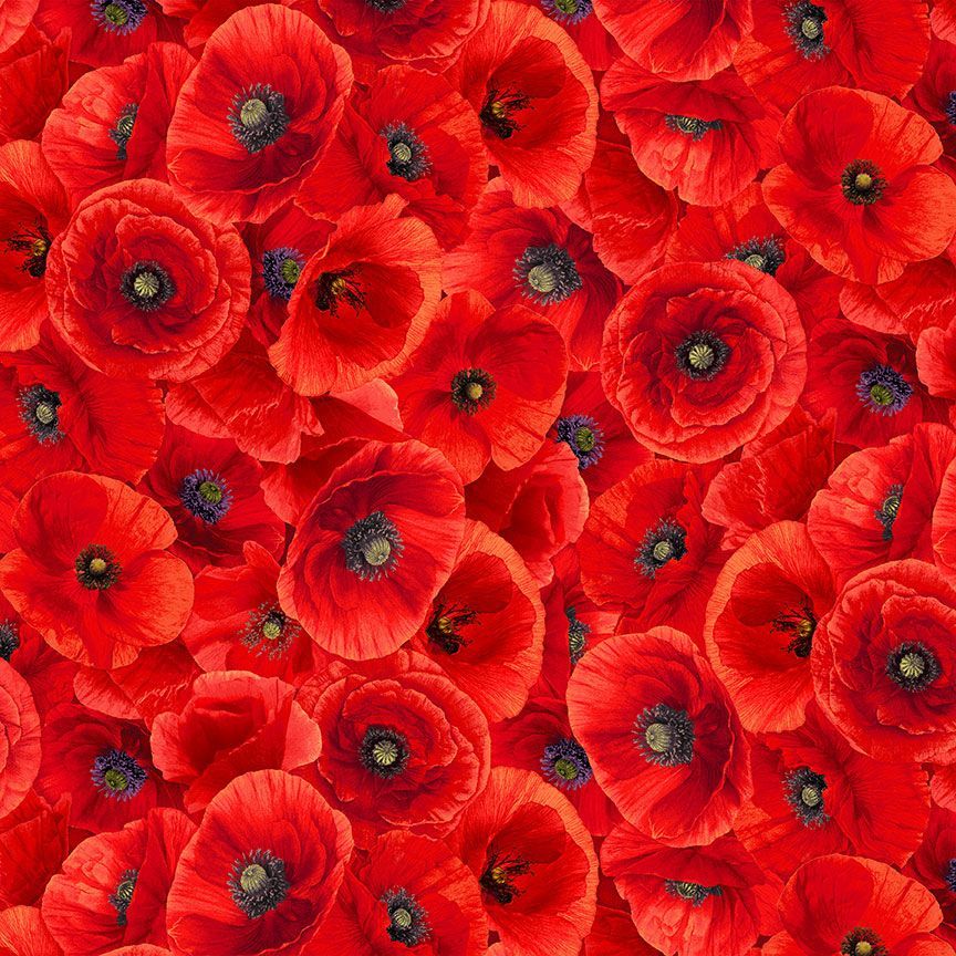 Sunset Poppies - Packed Red Poppies