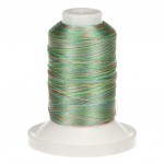 RA Rayon Thread - Variegated Rainbow
