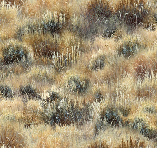 Landscape Medley -  Field