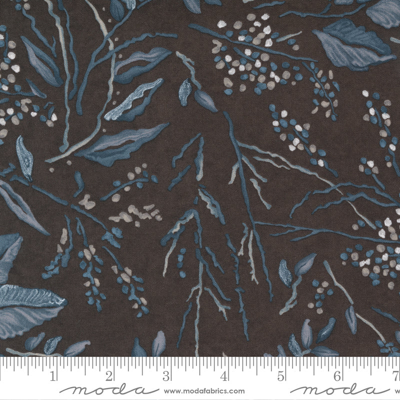 Change Of Seasons - Foliage Nature Leaf Cocoa