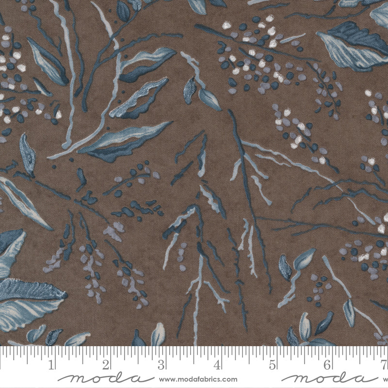 Change Of Seasons - Foliage Nature Leaf Walnut