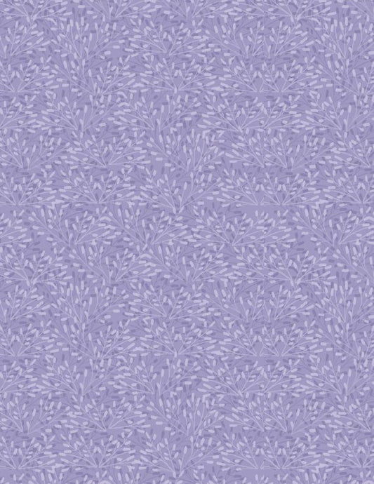 Whimsy - Whimsy Purple