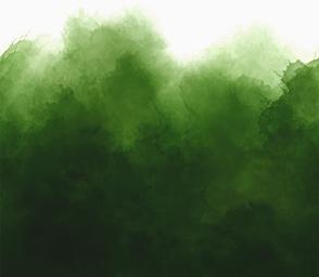 Mystic Ombre - Evergreen