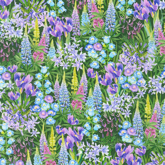 seeds-to-sew-garden