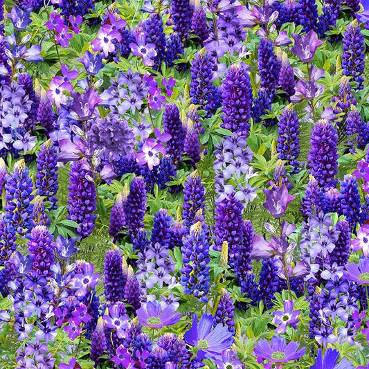 Wild-Floral-Field-Fleur-Purple