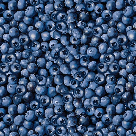 Benartex Blueberry Hill - Blue Packed Blueberries