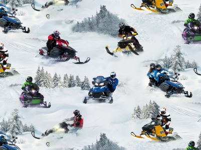 In Motion - Snowmobiles White