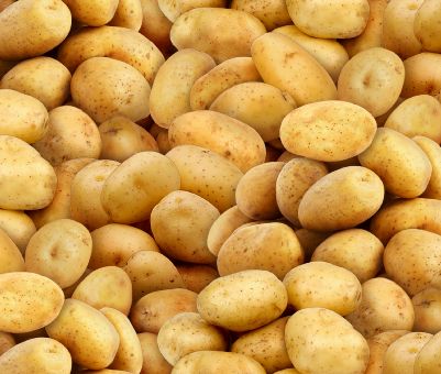 Food Festival - Yukon Gold Potatoes